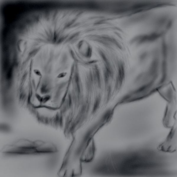 Creation of Run.....Its a lion......: Step 10